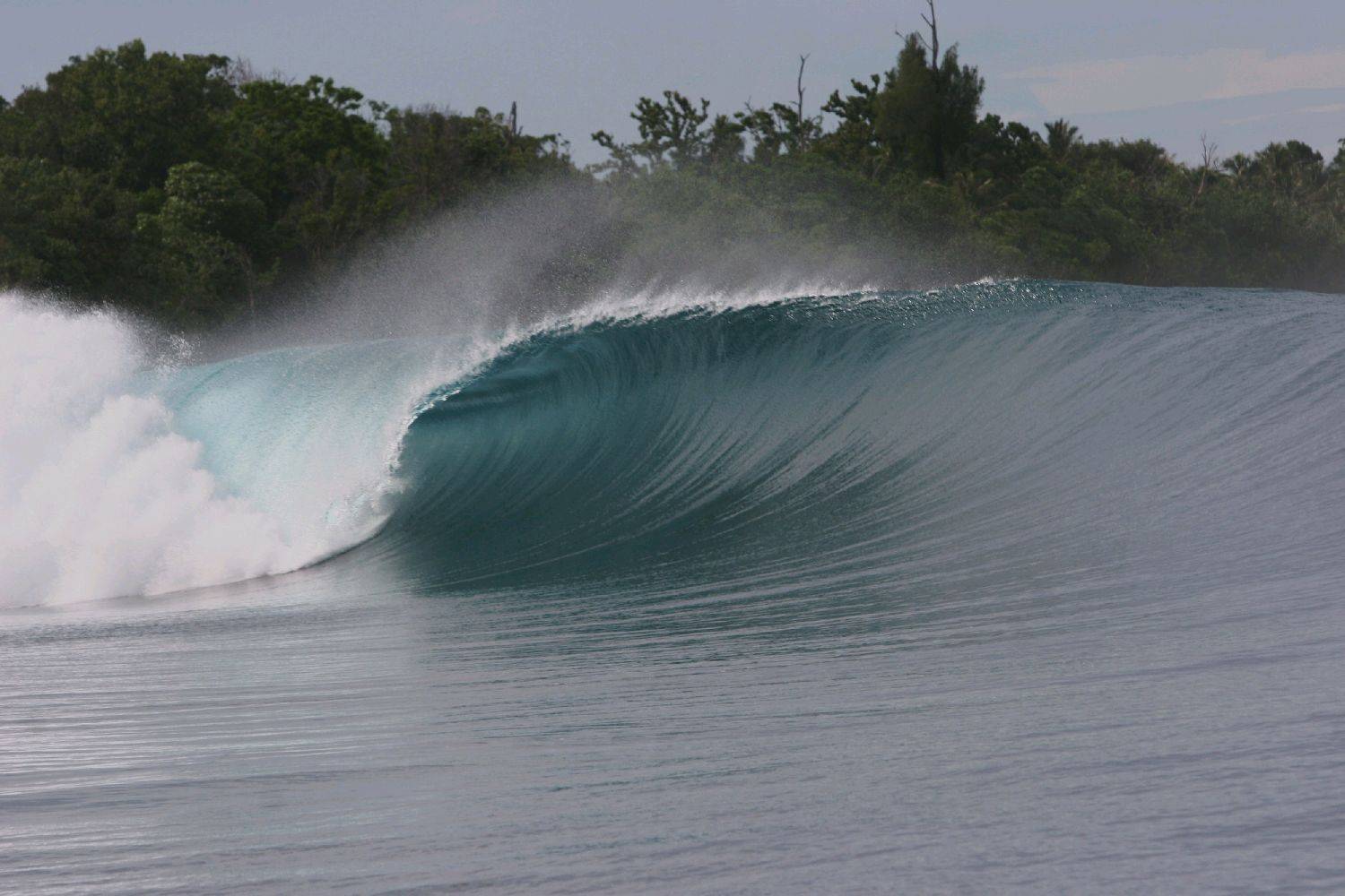 Mentawaii 2009 336