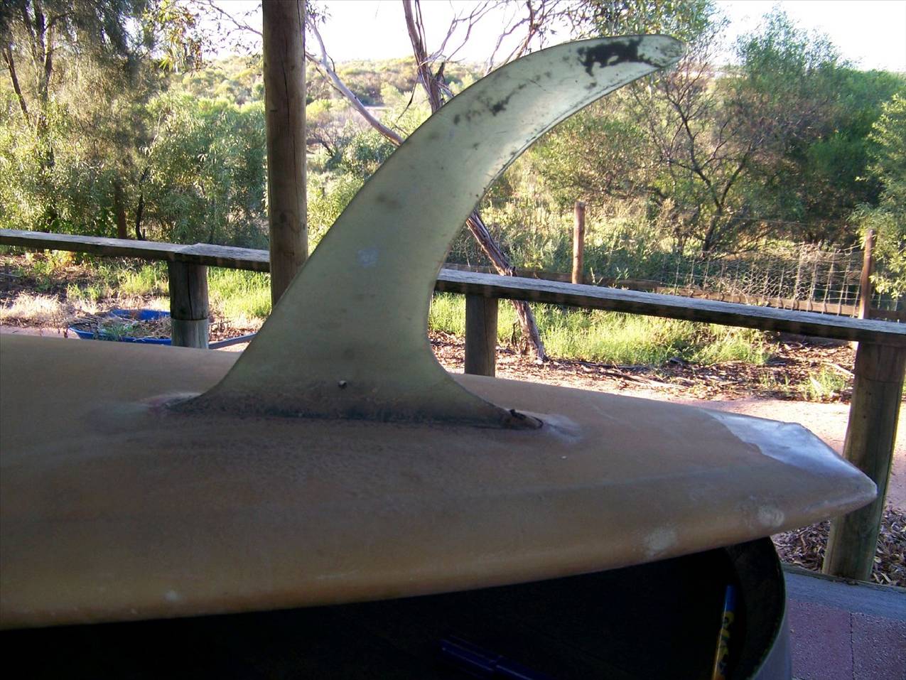 surf board 002