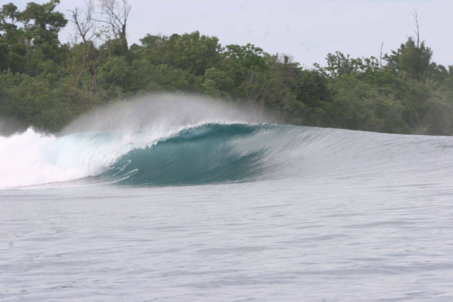 Mentawaii 2009 325
