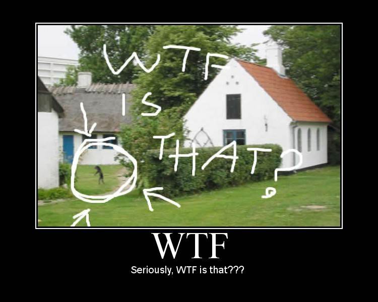 wtf-729992