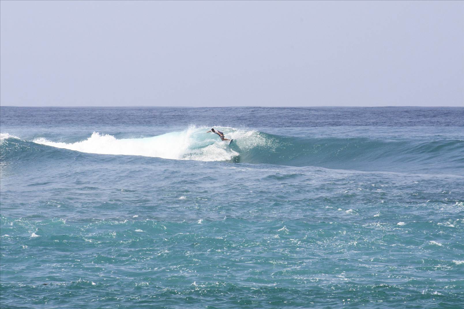 33 Tropicals Rayne 1, SUMBAWA