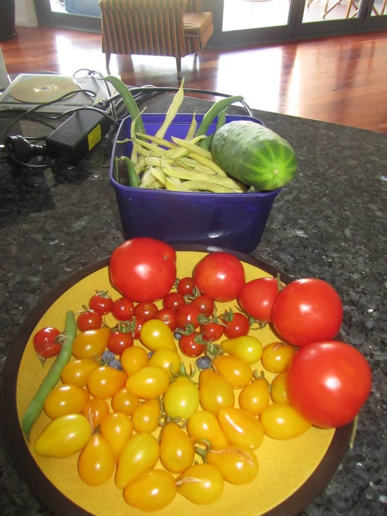 Garden Delights