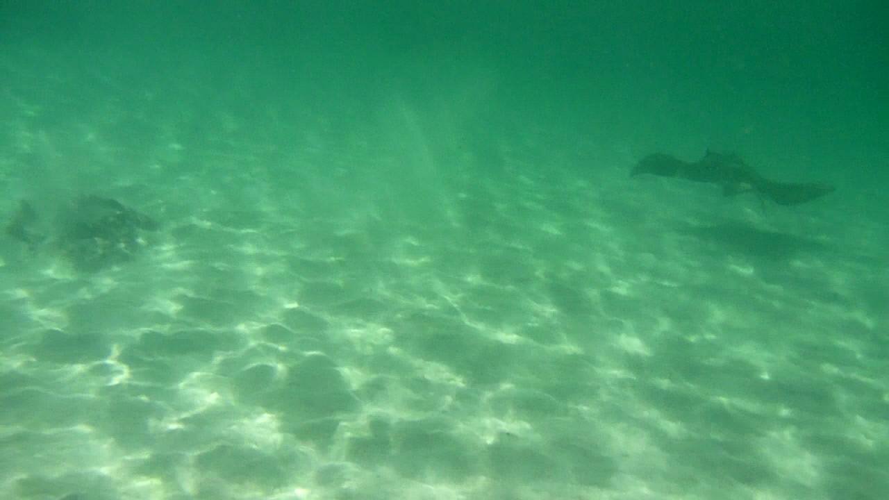 20111203(94607)