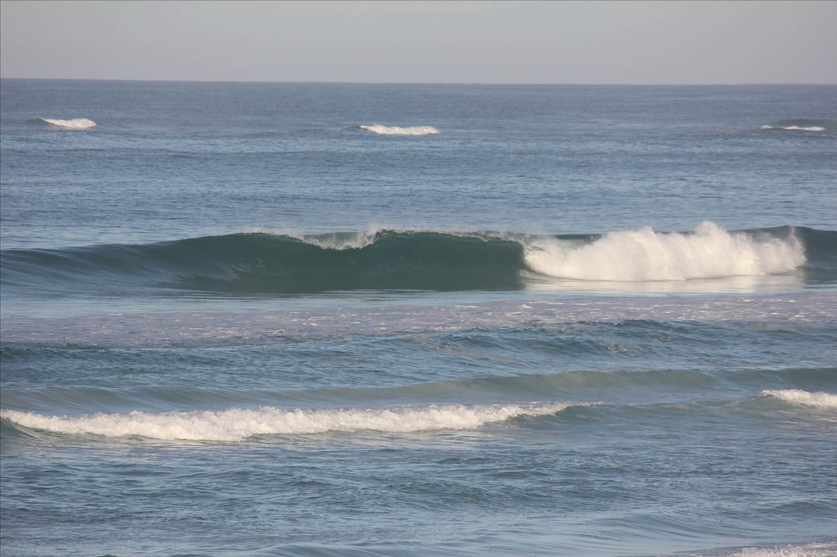 Wedge20.01.12 007