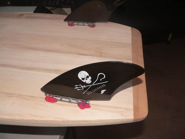 fin options