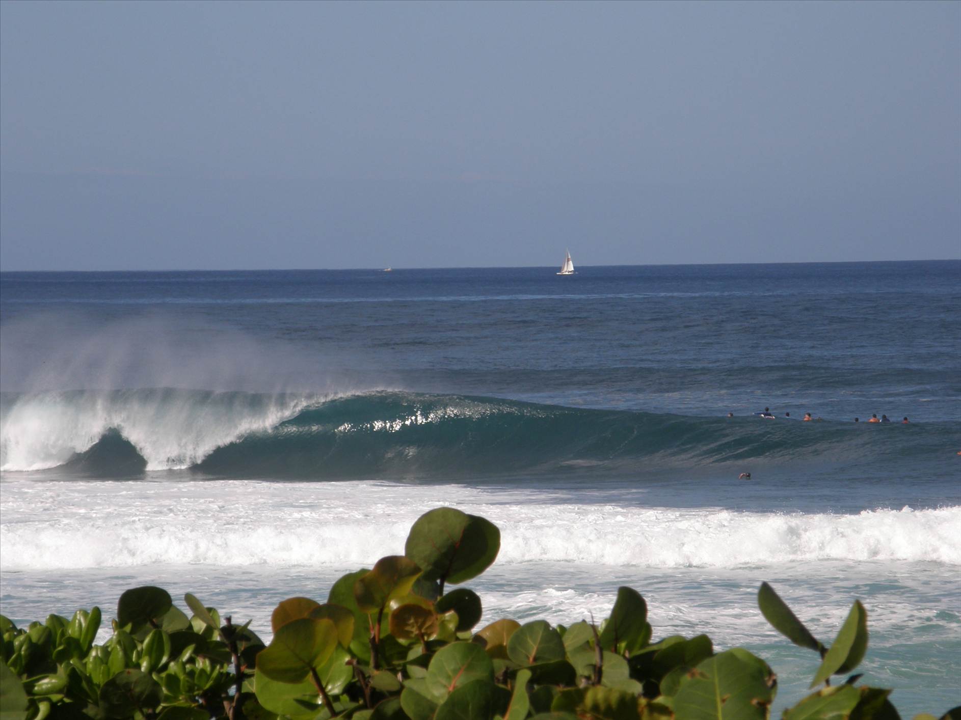 Pipe January 2012