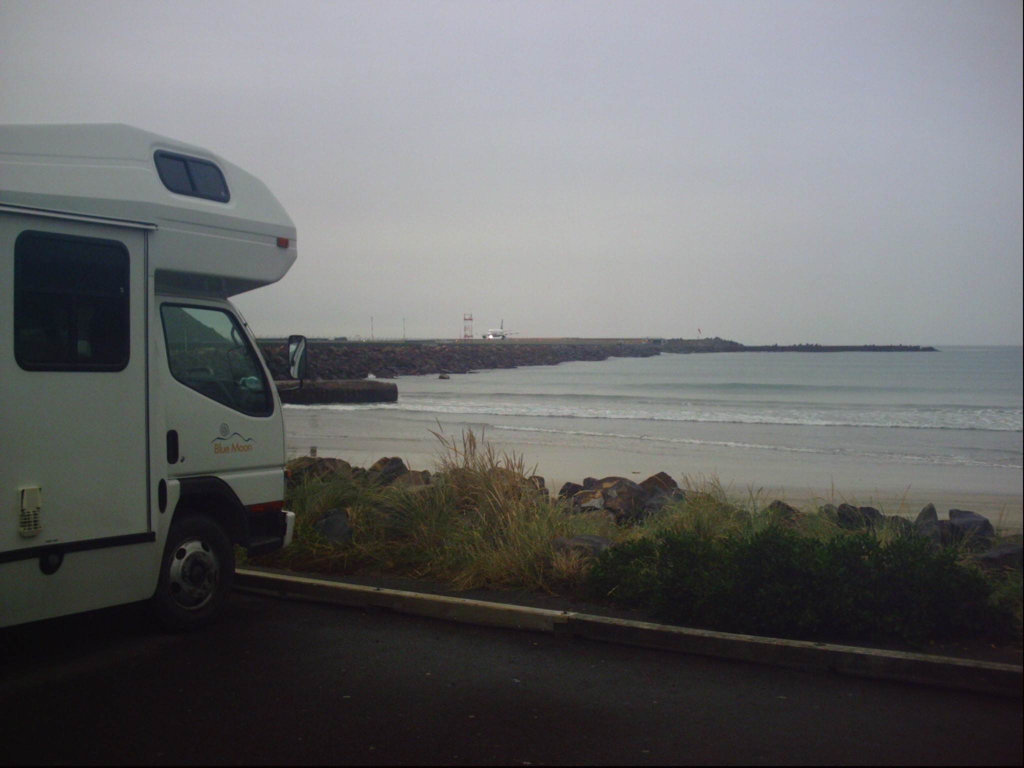 lyall bay
