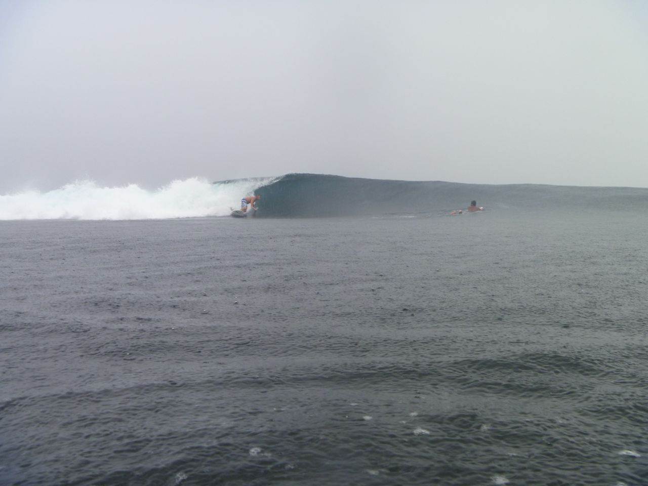 P1000537