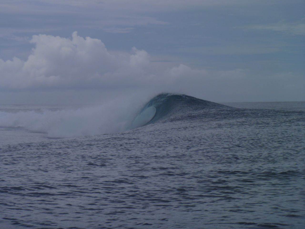 P1000641
