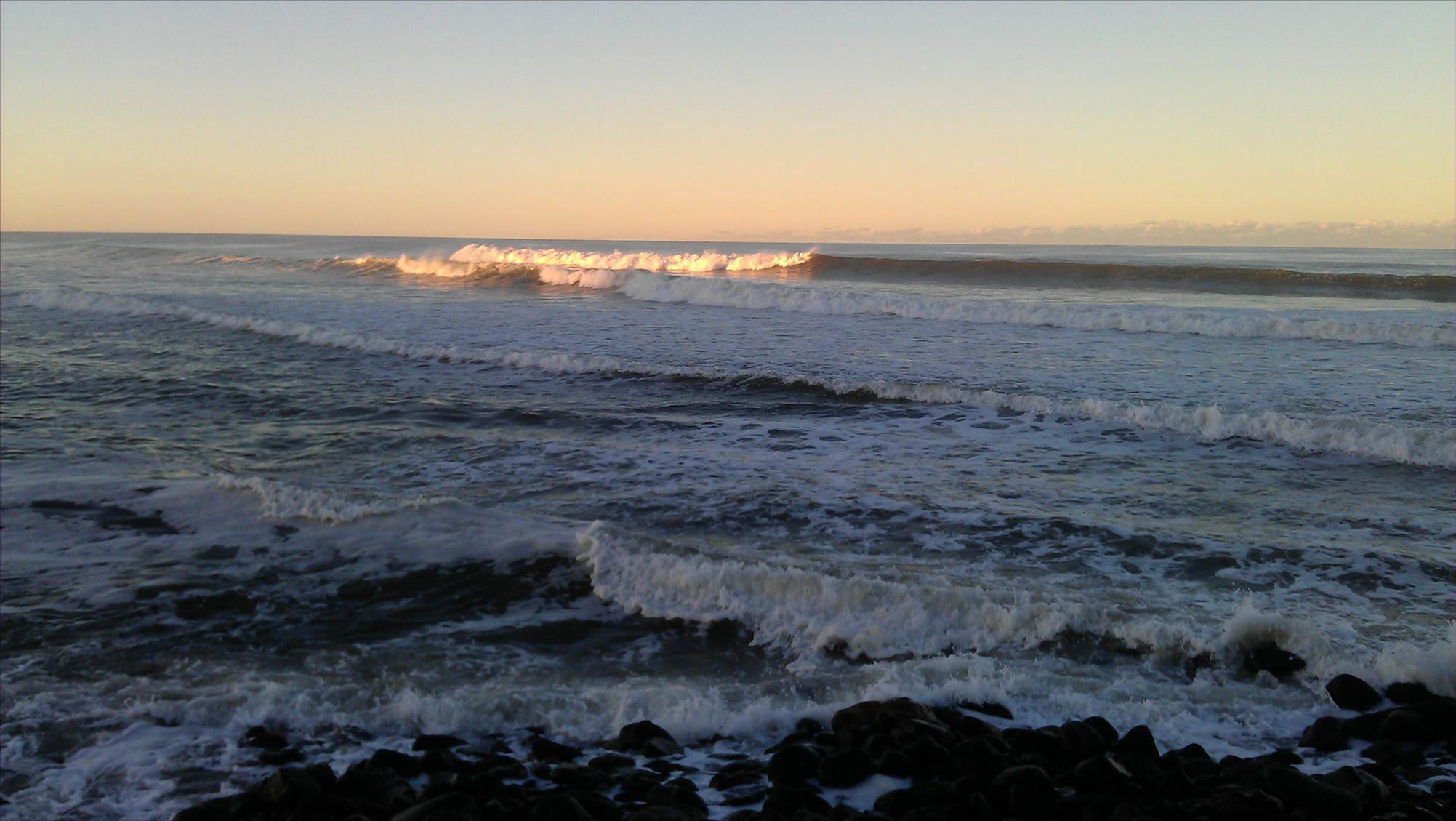 IMAG0175