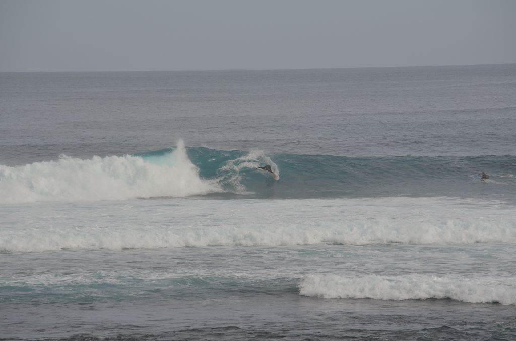 August Surfing