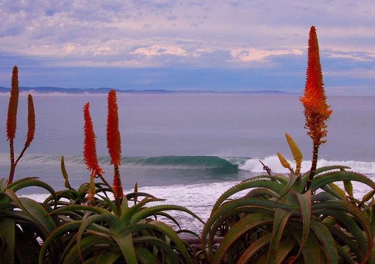 J-Bay South Africa
