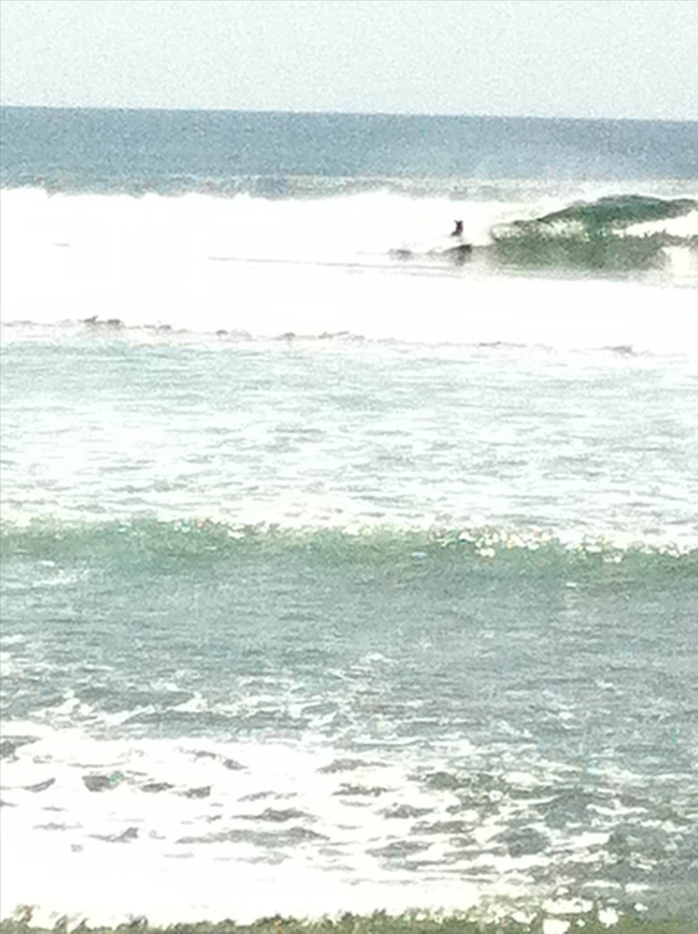 bali lombok 031