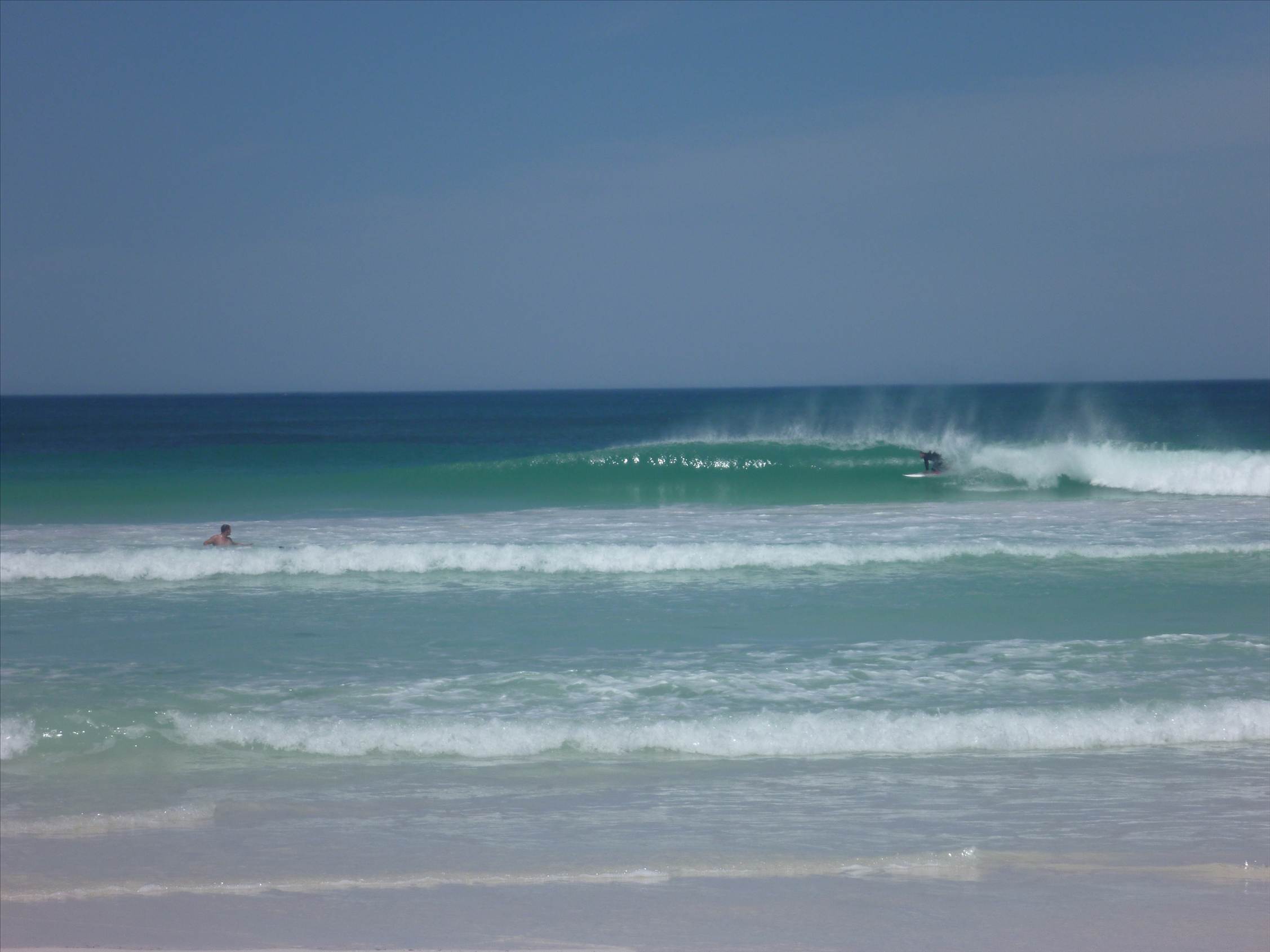 wedge feb 10 008