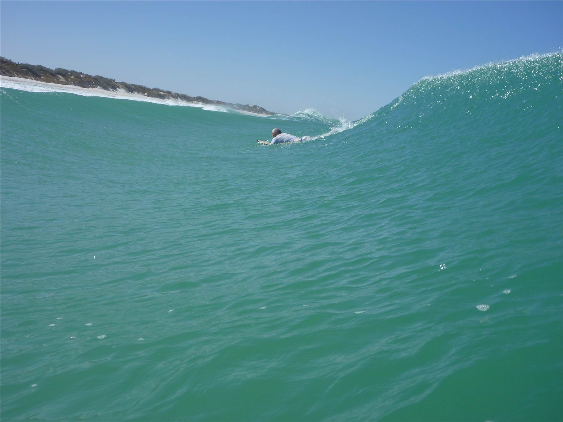 wedge feb 10 006