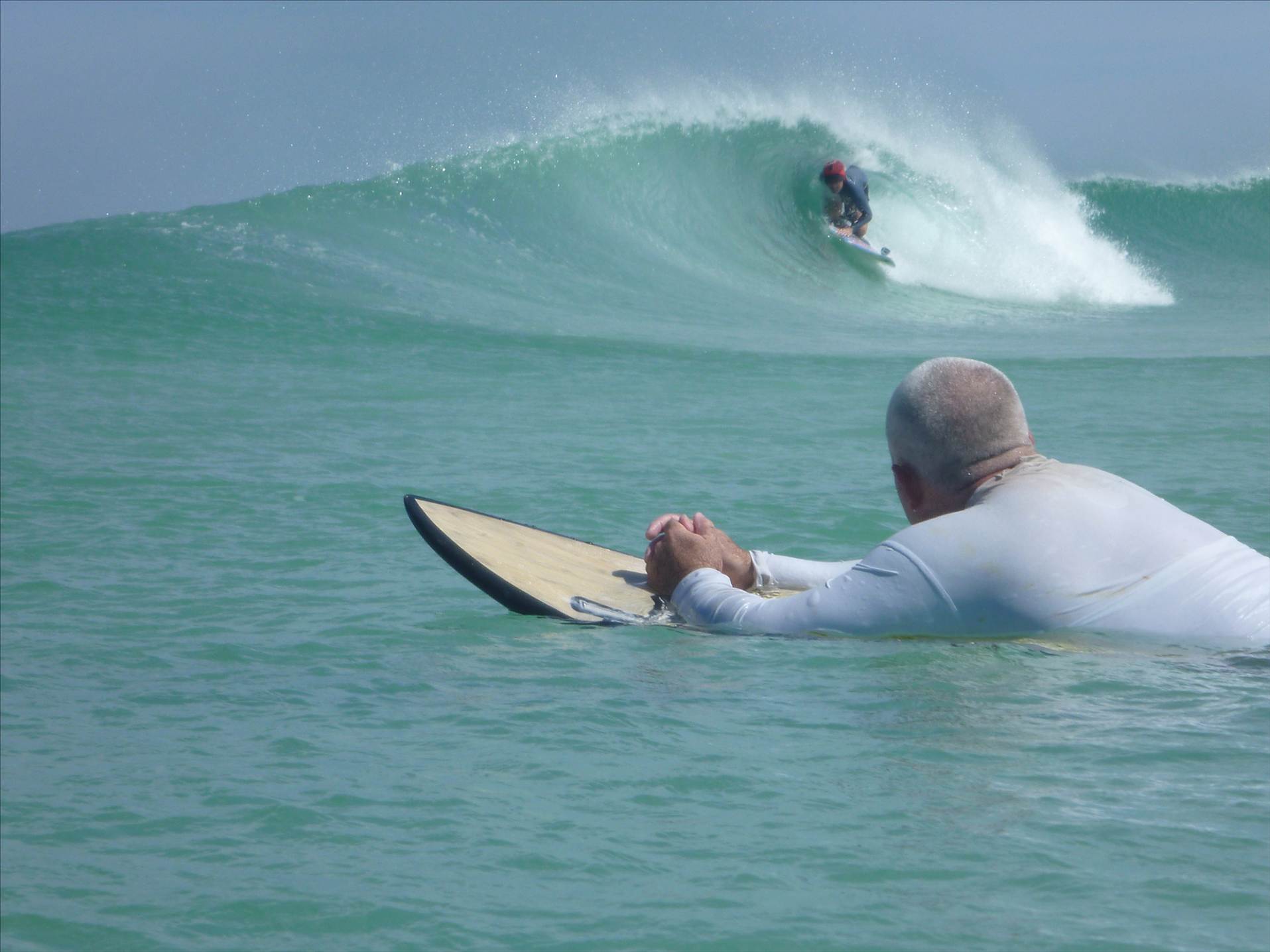 wedge feb 10 002