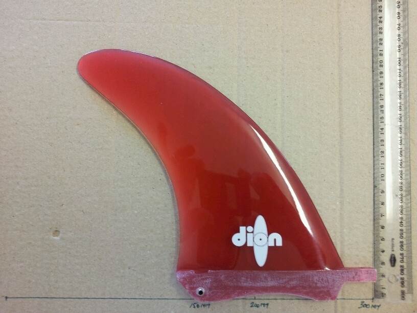 dion fin