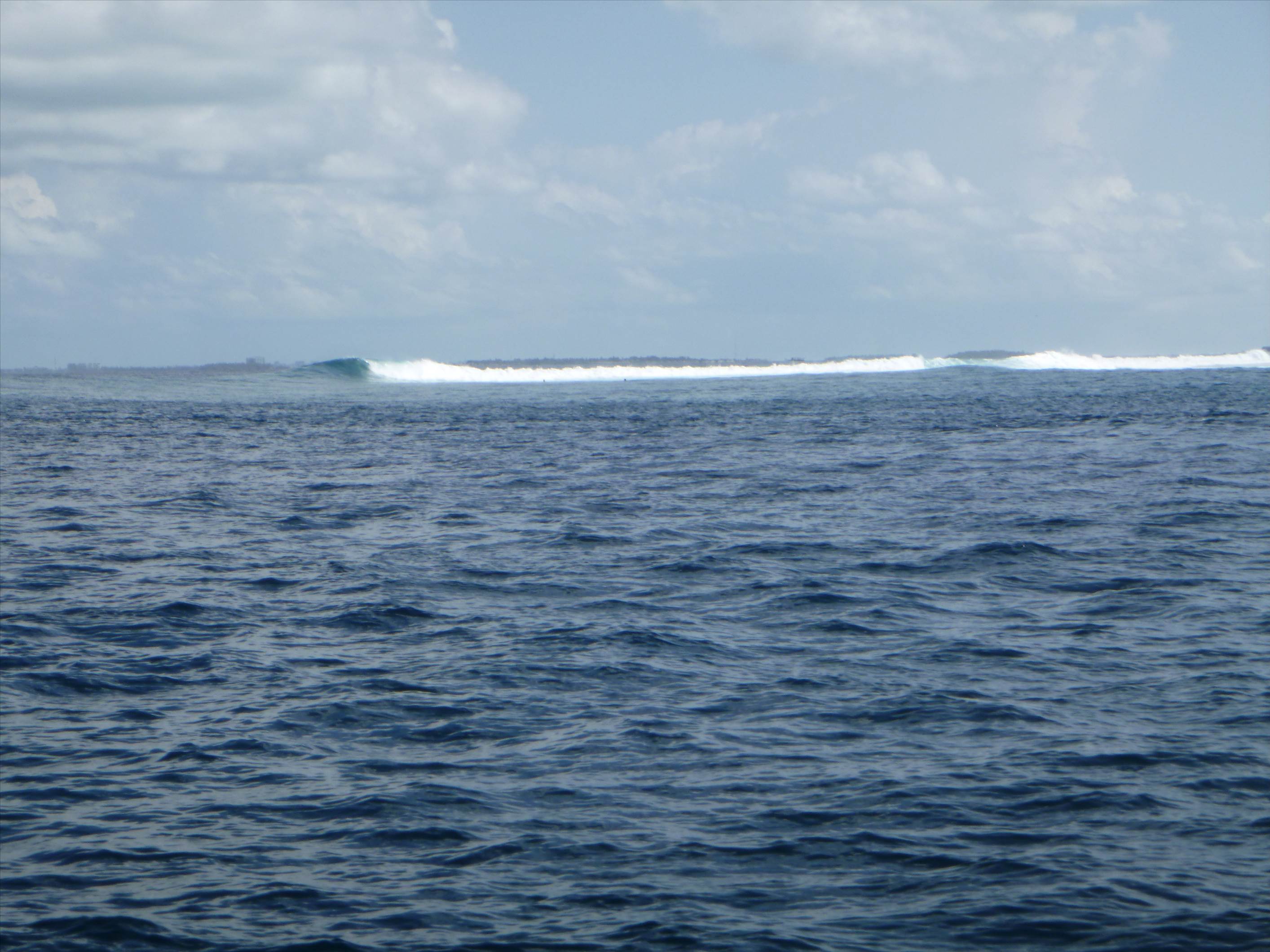 P1010341