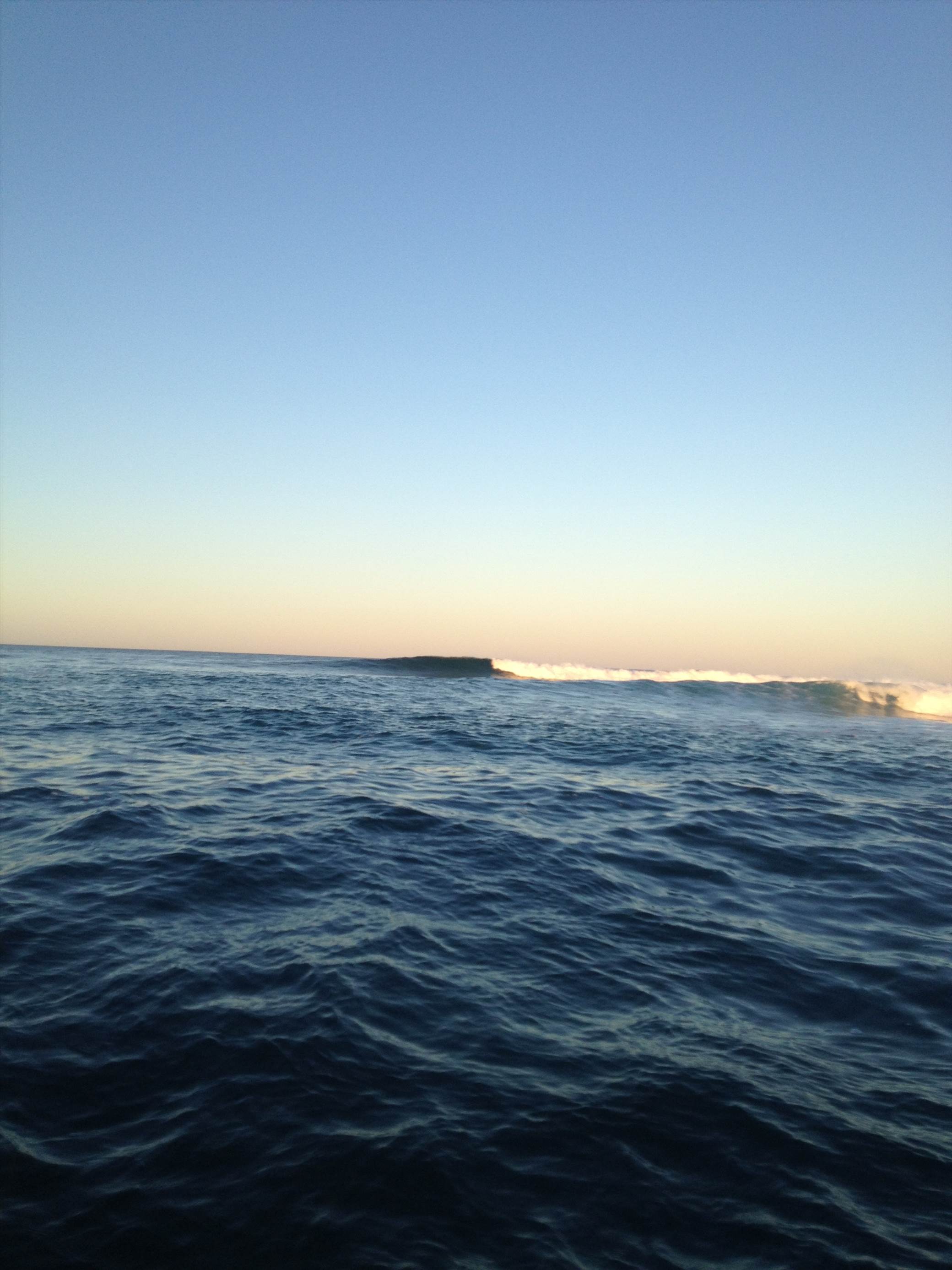 photo 1 (5)