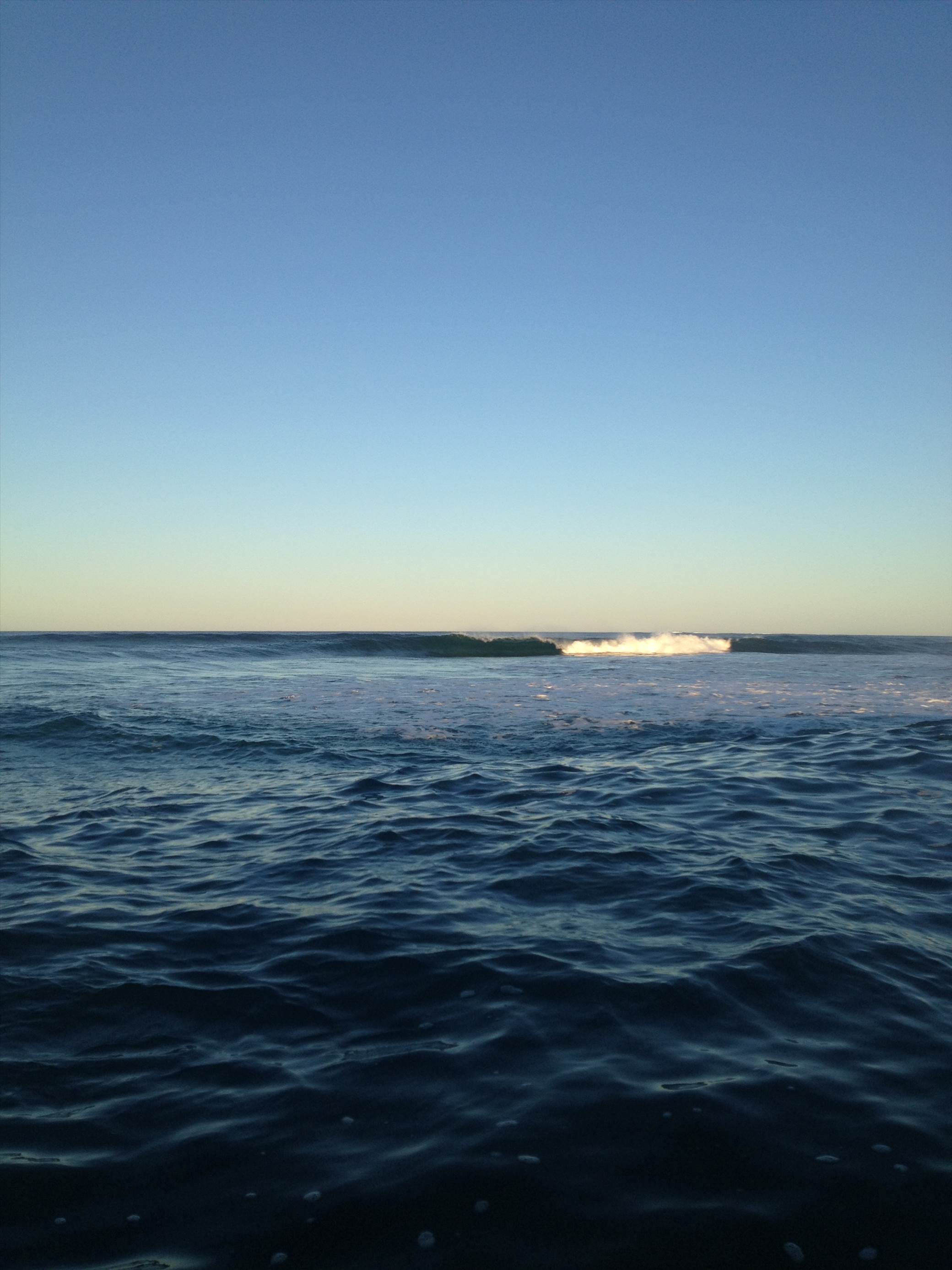 photo 2 (6)