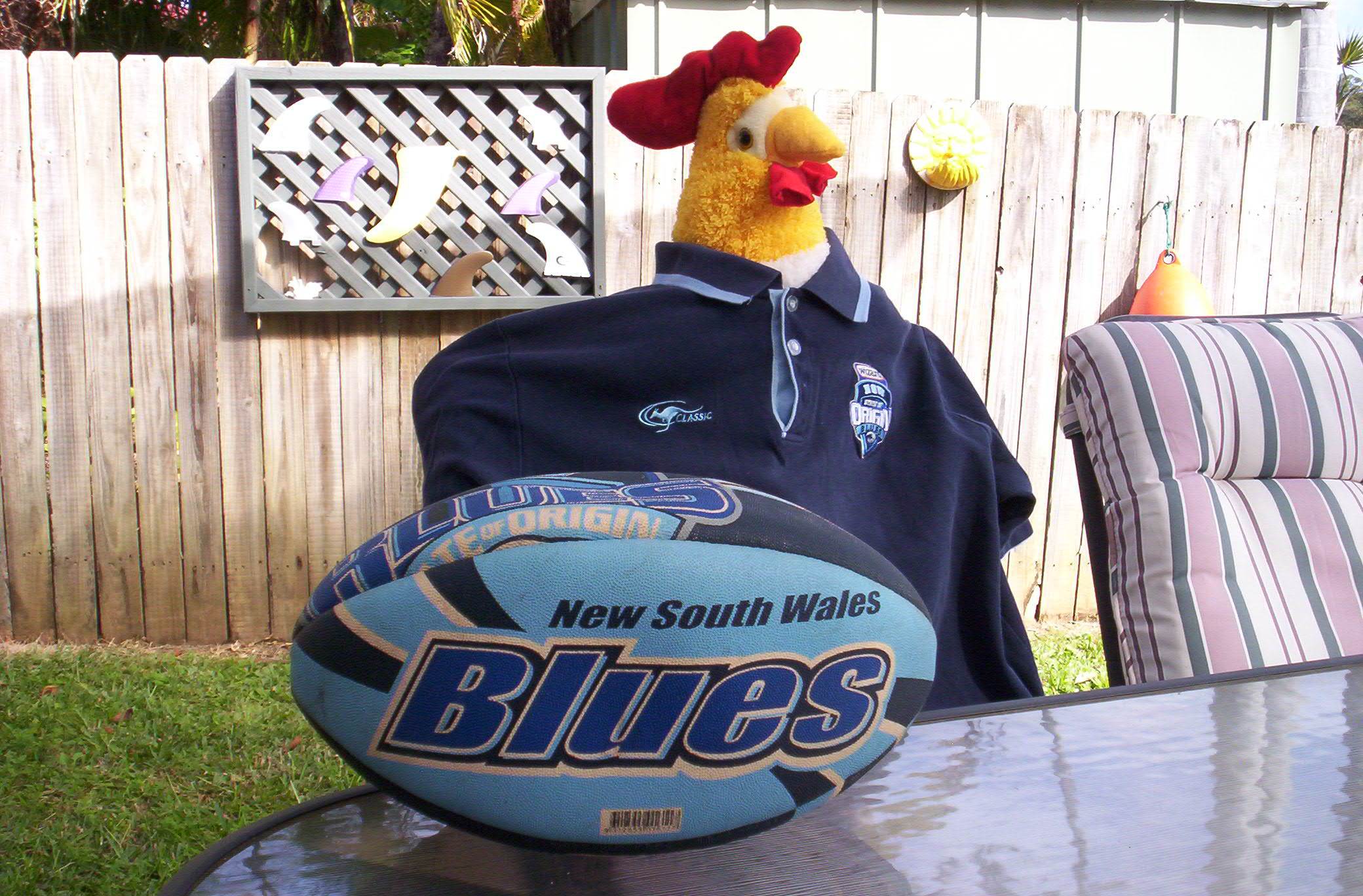 Blues Chook