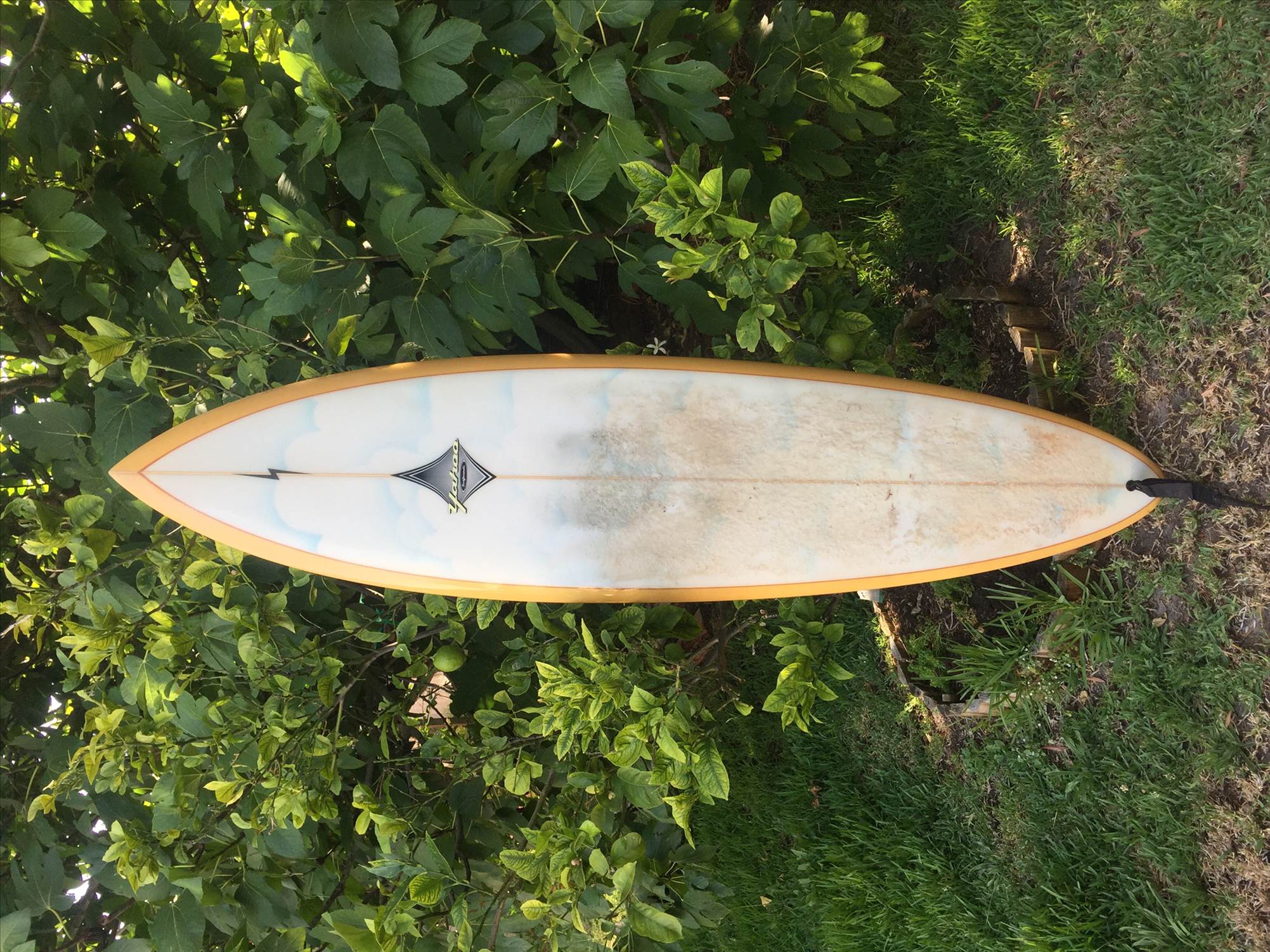 Single fin
