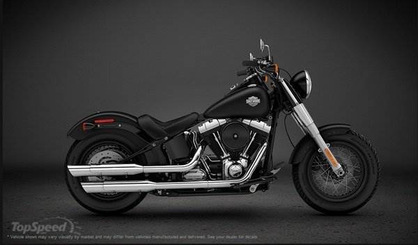 harley-davidson-soft-43 600x0w