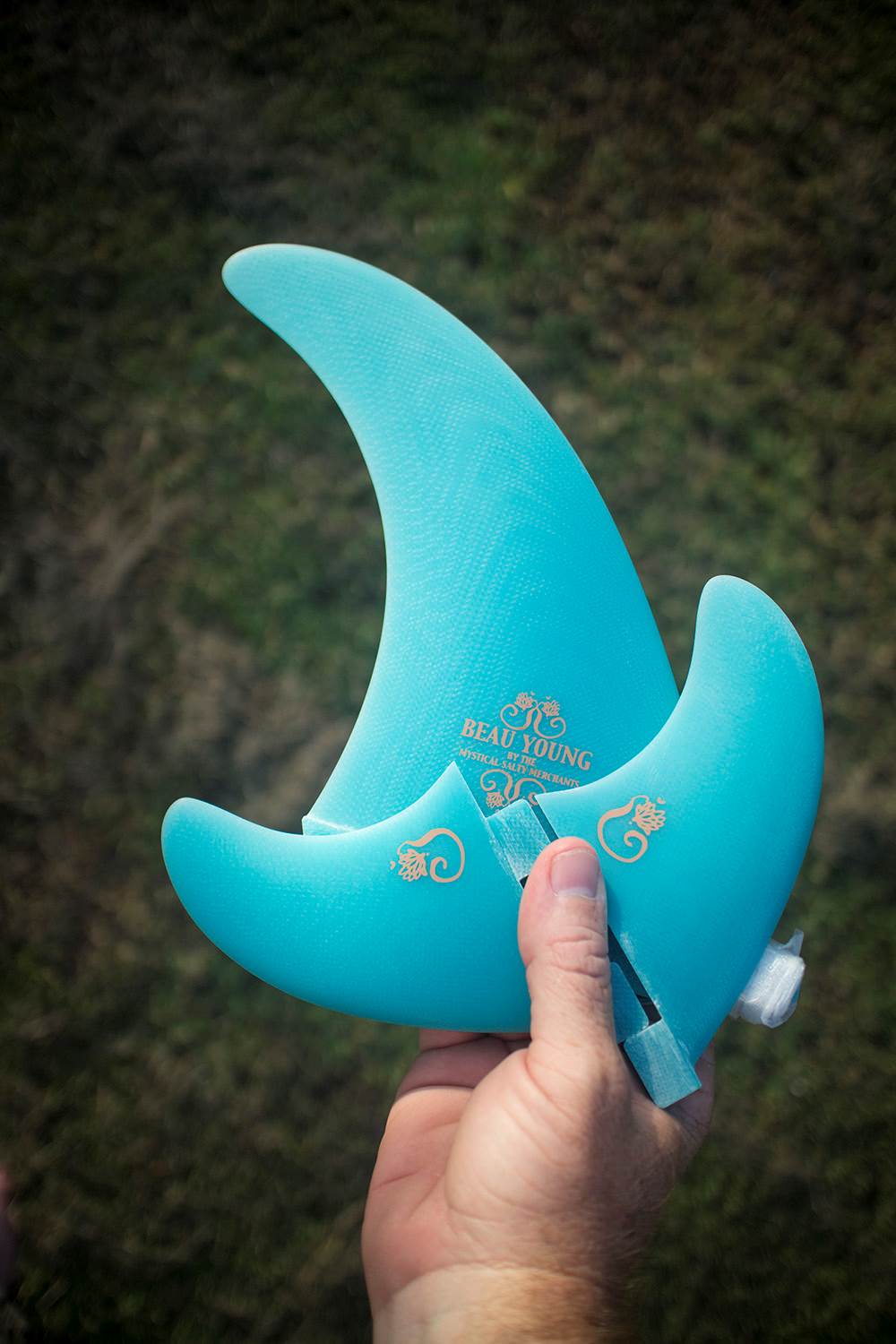 beau young fins