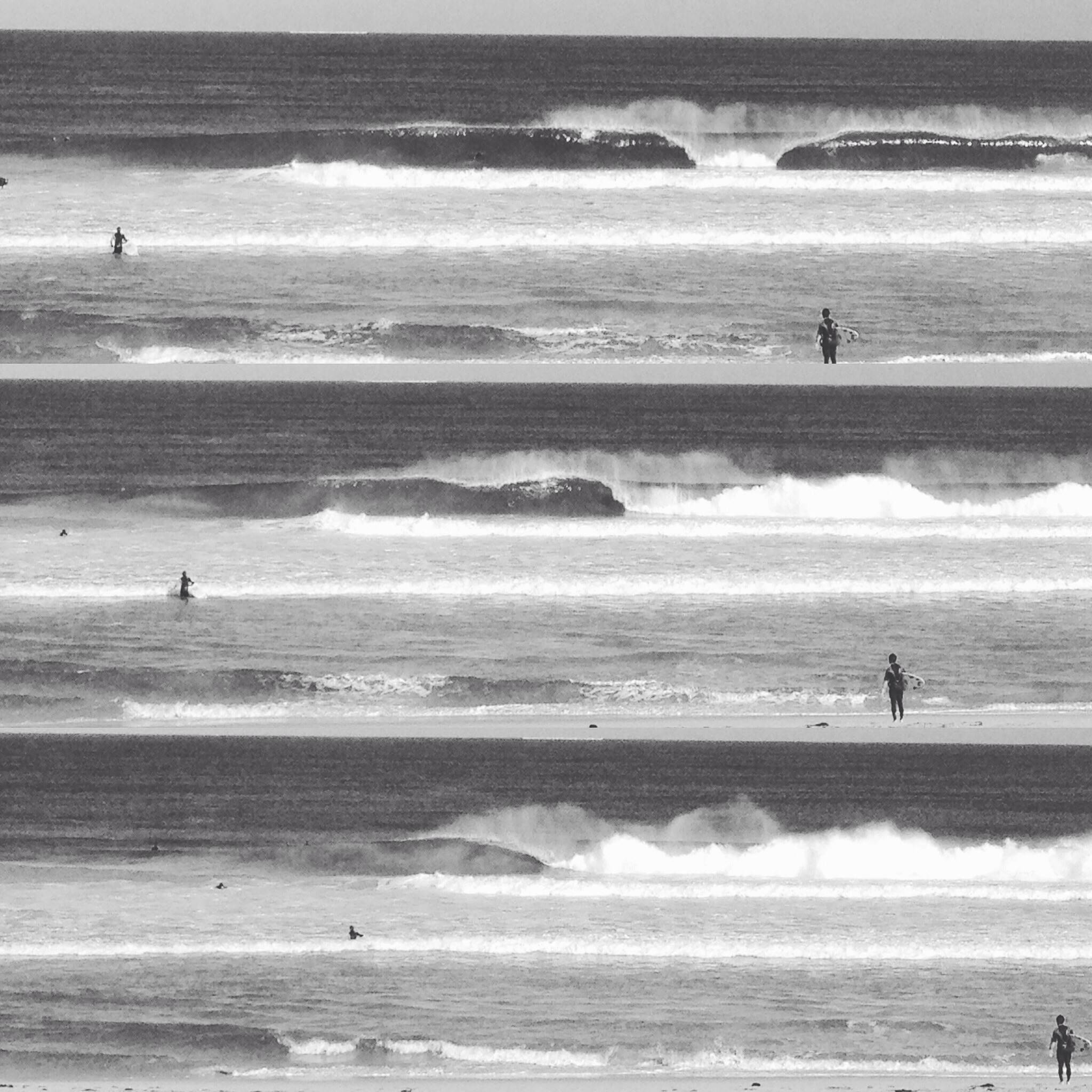 The local the other day