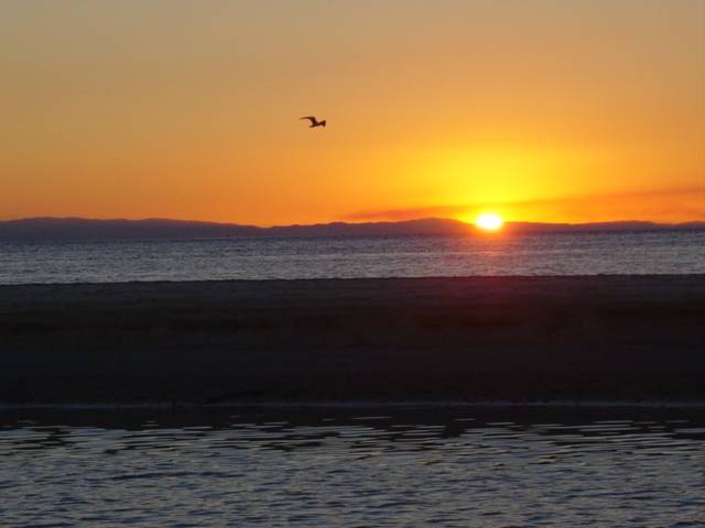 sunset