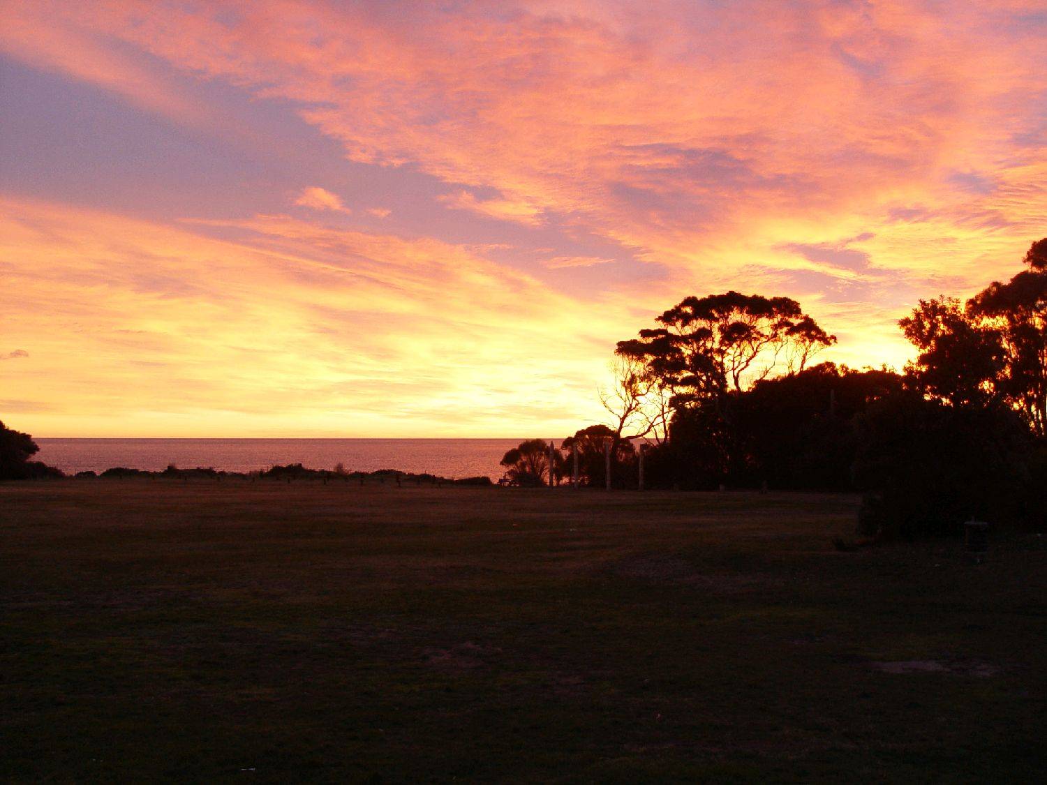 sunrise - wind on the way