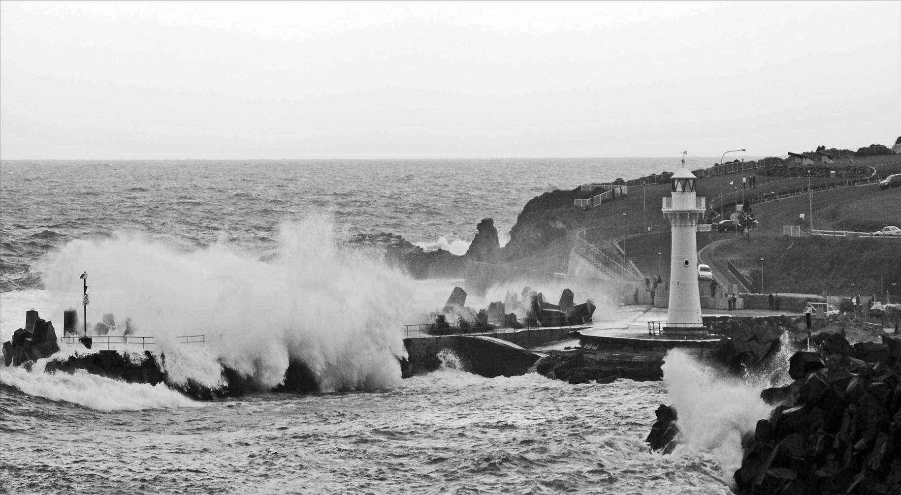 Savage Seas