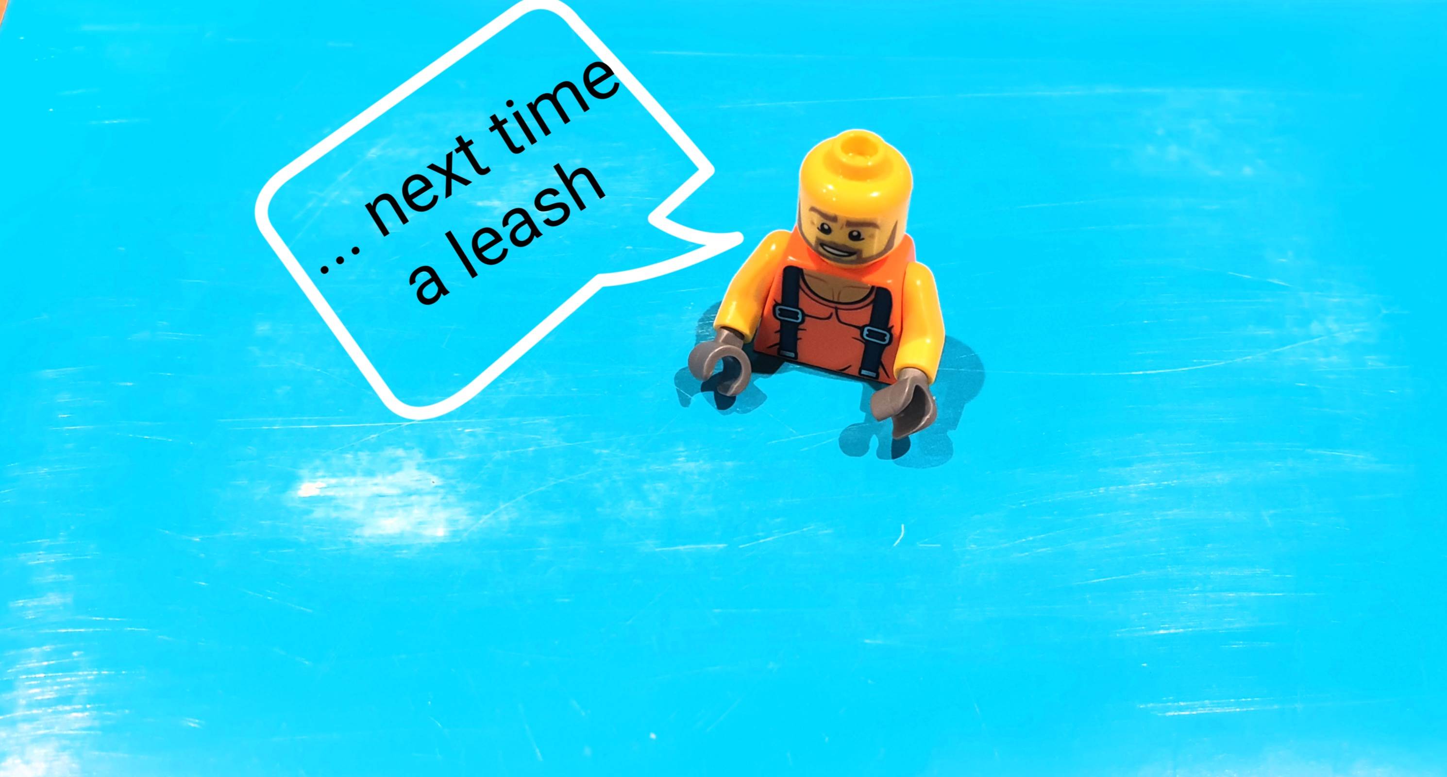 lego wing