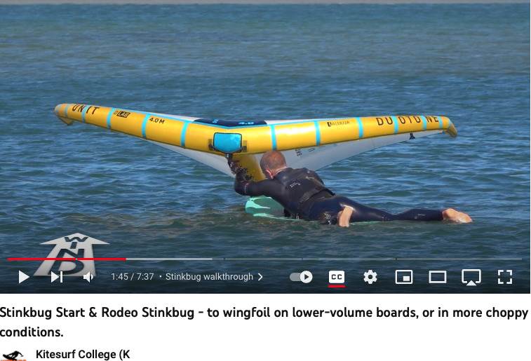 Stinkbug downwind