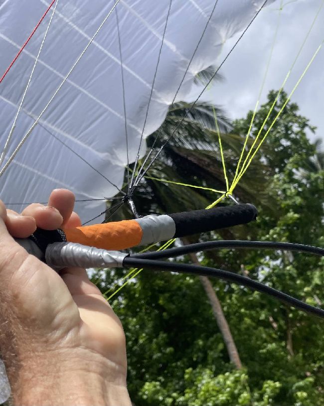 Wind Wings