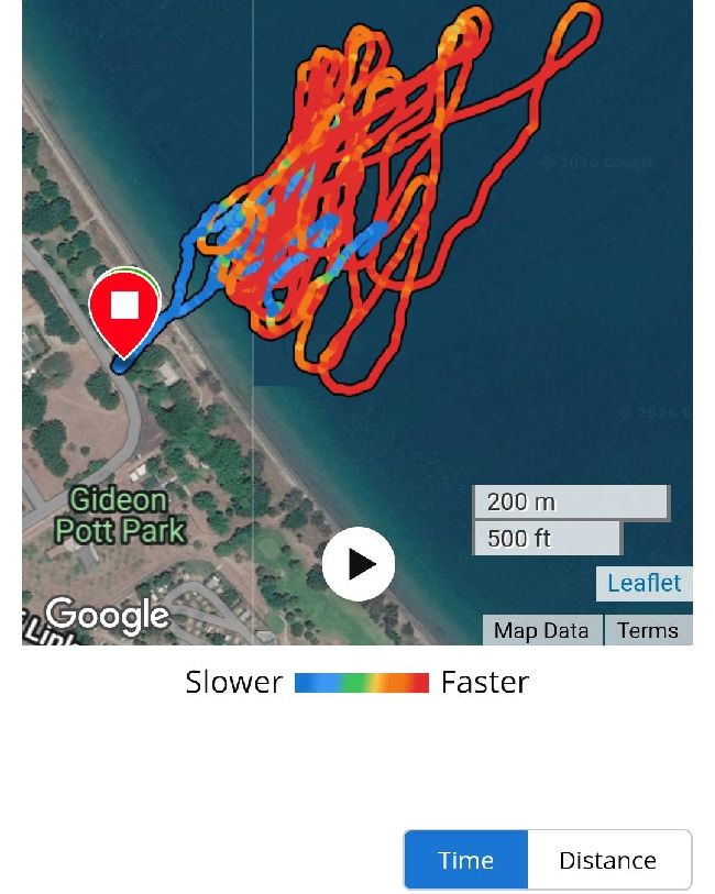 1000009593