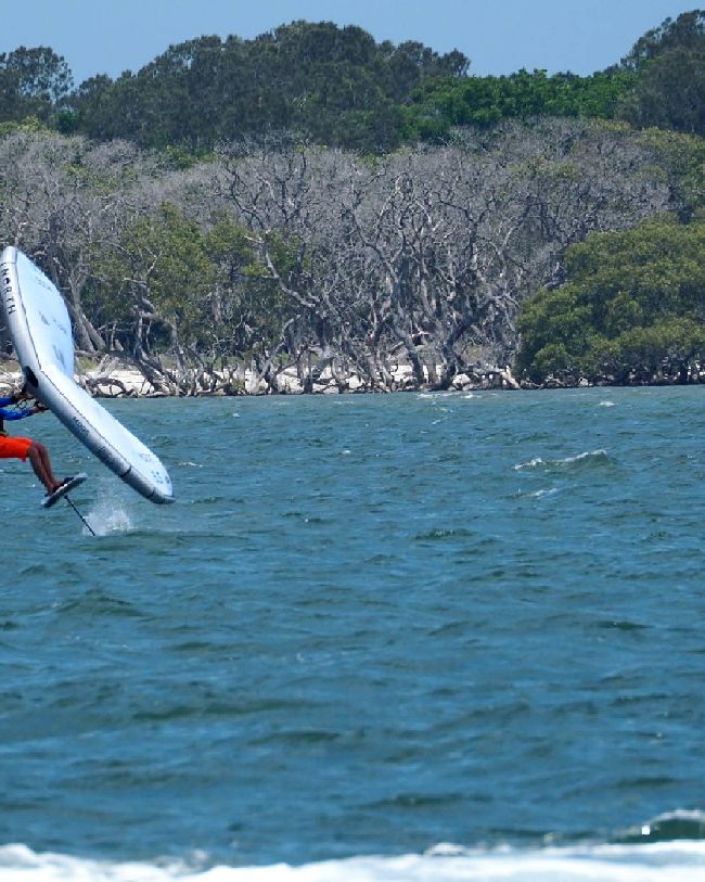 Wind Wings