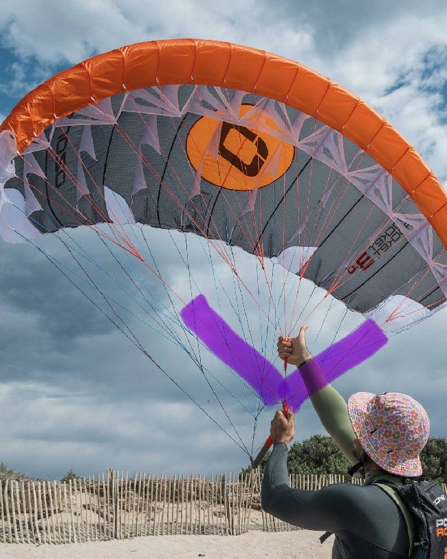 Wind Wings
