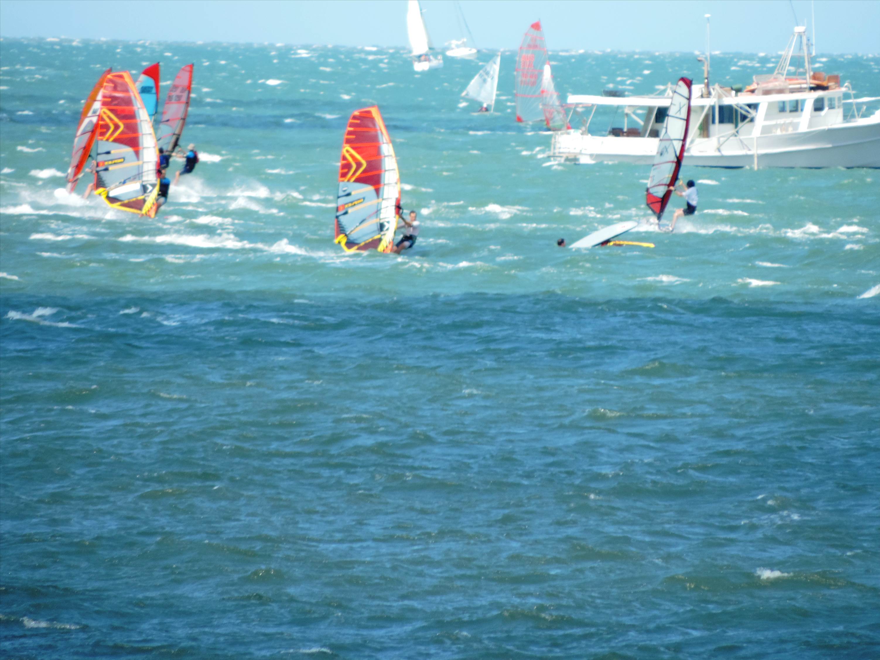 Bayside Slalom 15/11/2015