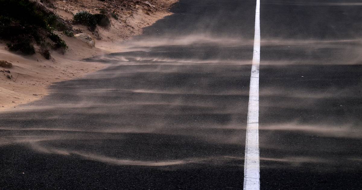 white line fever 1