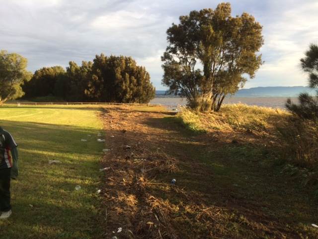 Primbee after the king tide