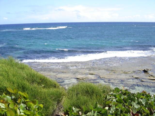 Our backyard view :-(