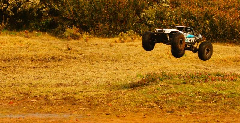 buggy1