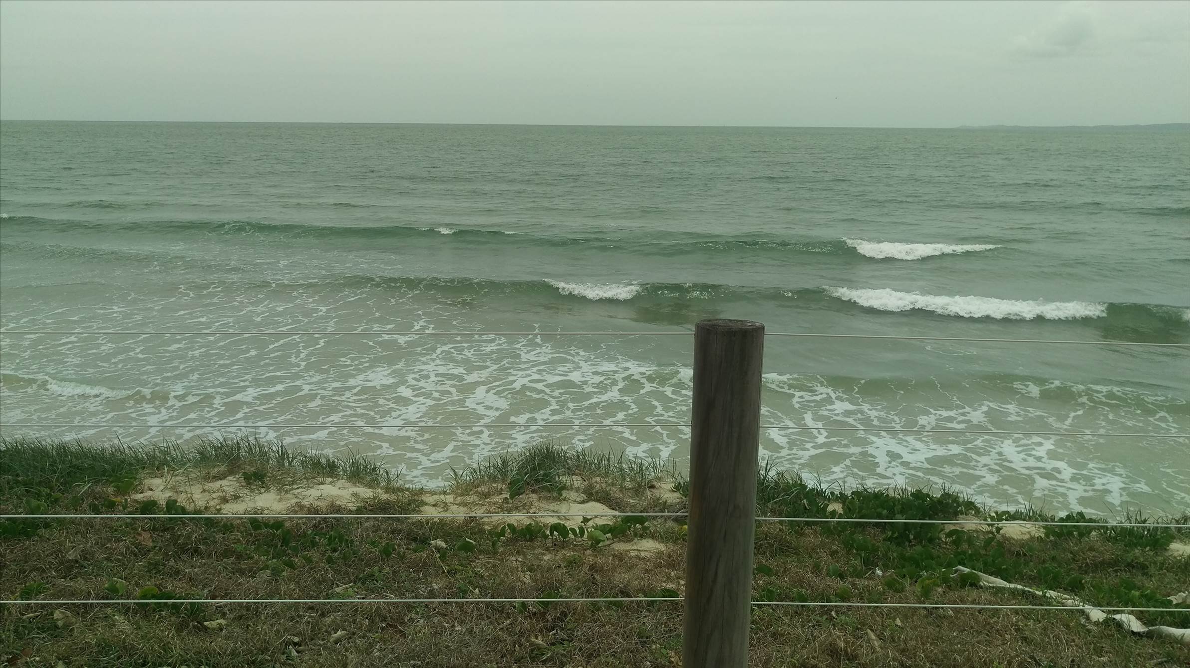 IMAG0109[1]