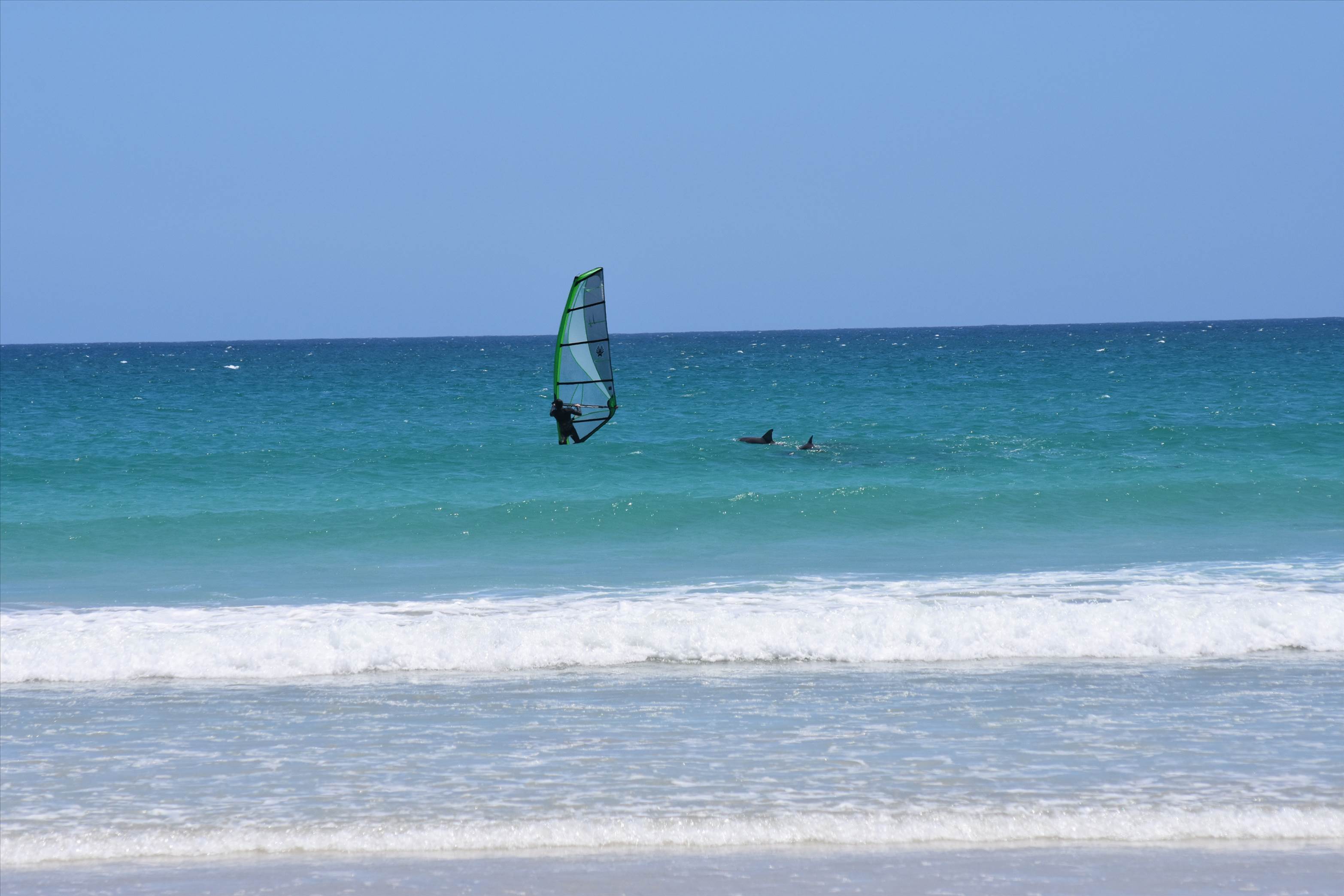 Australia Day