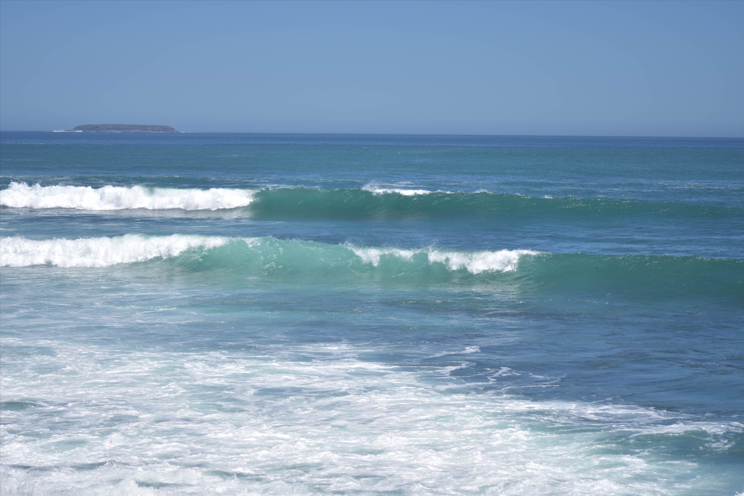 West Coast