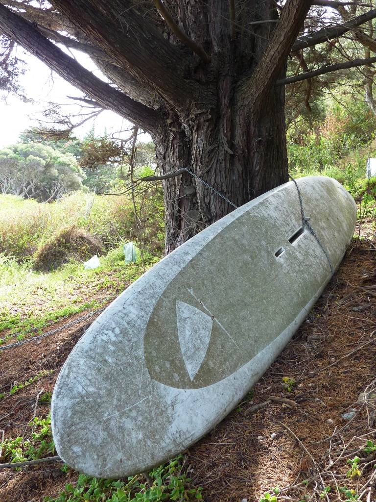 Tree security device