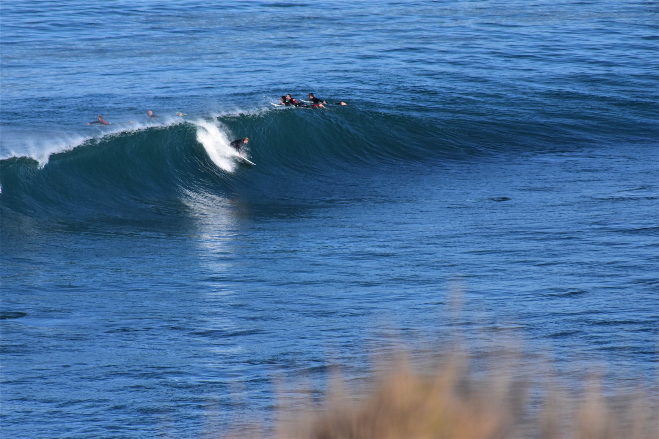 West Coast