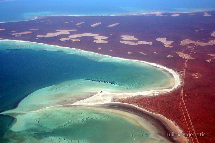 Shark Bay