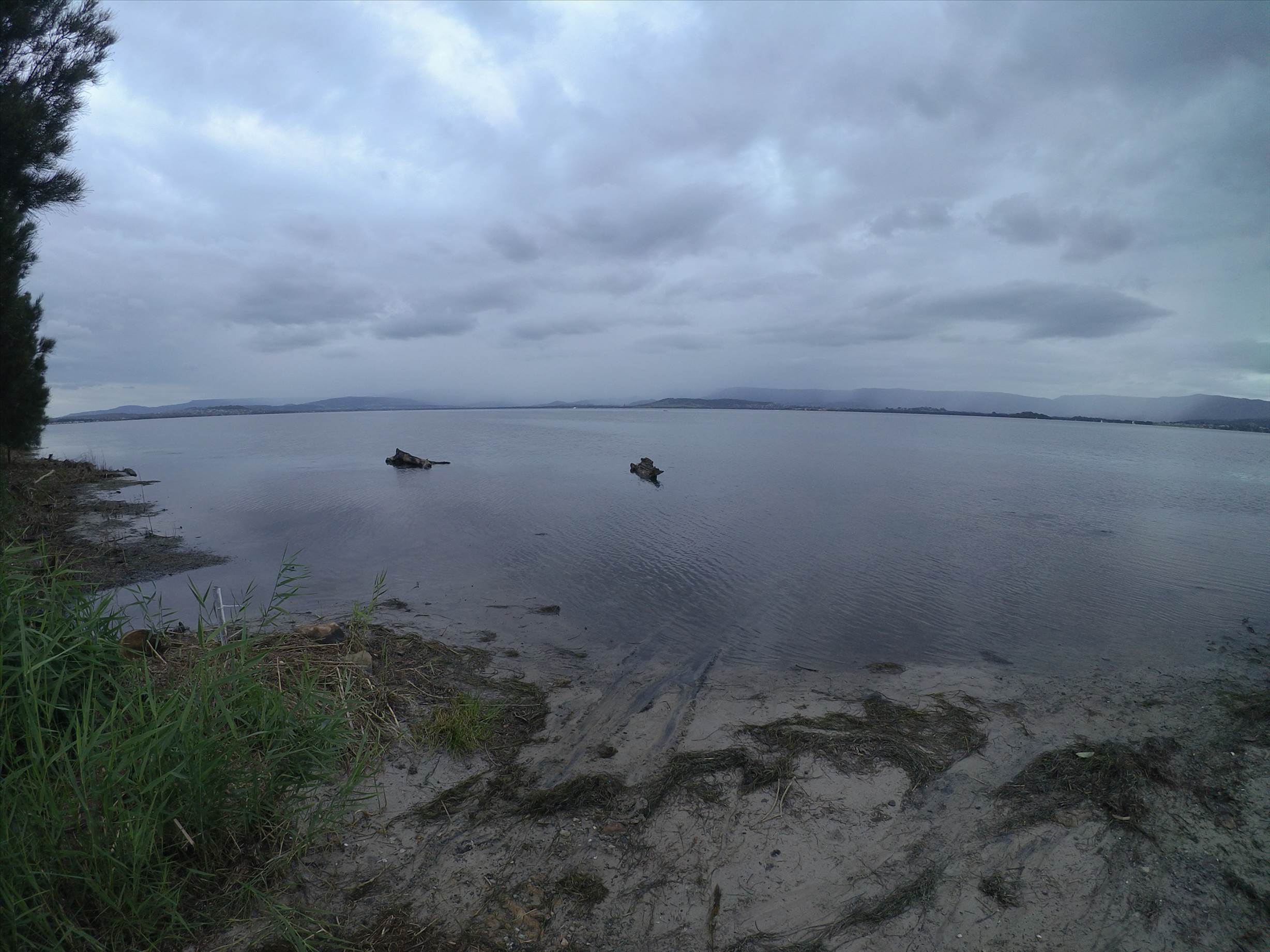 Cleaning Lake Illawarra
